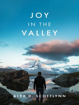 cover image of Joy in the Valley